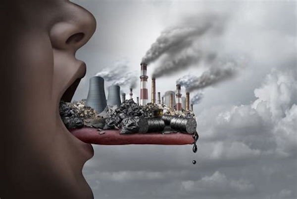 Toxins, Autoimmunity, and Building Resilience